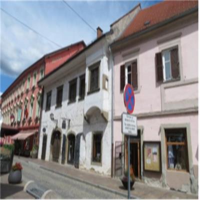 Parcela št. 1186, k.o. 400 Ptuj s stavbo št. 1539